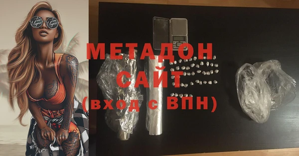 прущие грибы Алзамай