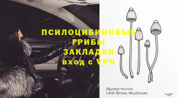 кокс Алексин