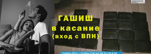 гашик Алексеевка