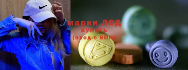 прущие грибы Алзамай