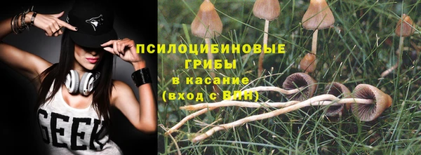 прущие грибы Алзамай