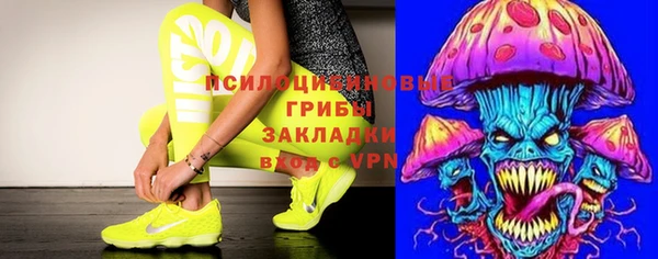 прущие грибы Алзамай
