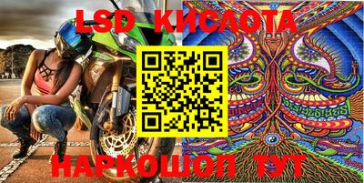 ECSTASY Камышлов
