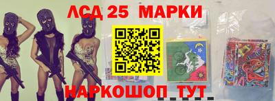 СК Кандалакша
