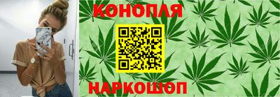 СК Кандалакша
