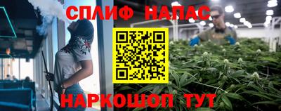 ECSTASY Камышлов