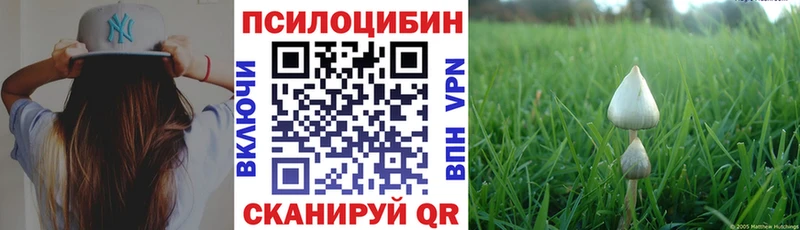 где купить наркоту Сатка Псилоцибиновые грибы ЛСД