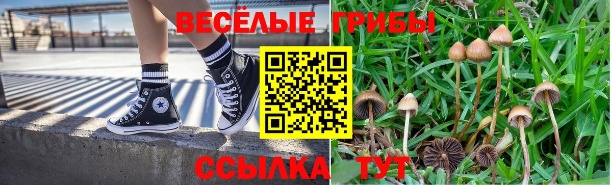 Псилоцибиновые грибы MAGIC MUSHROOMS Сатка