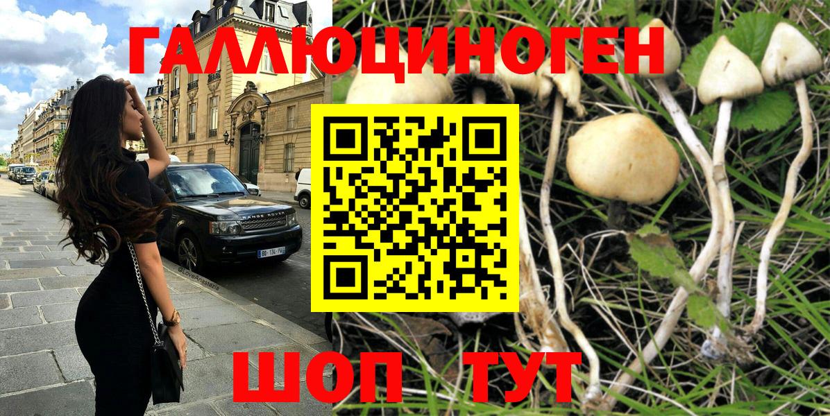 закладки  Вход с VPN  Сатка  Псилоцибиновые грибы Magic Shrooms 